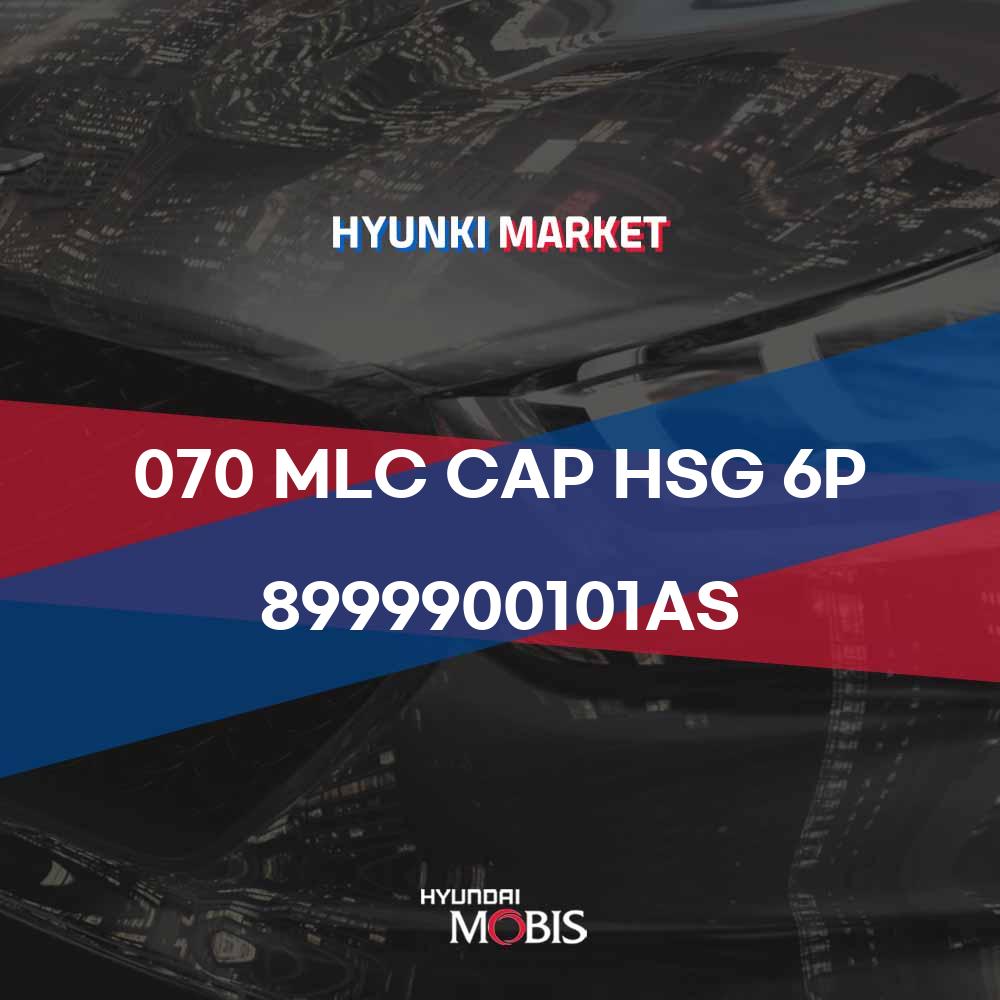 070 MLC CAP HSG 6P (8999900101AS)