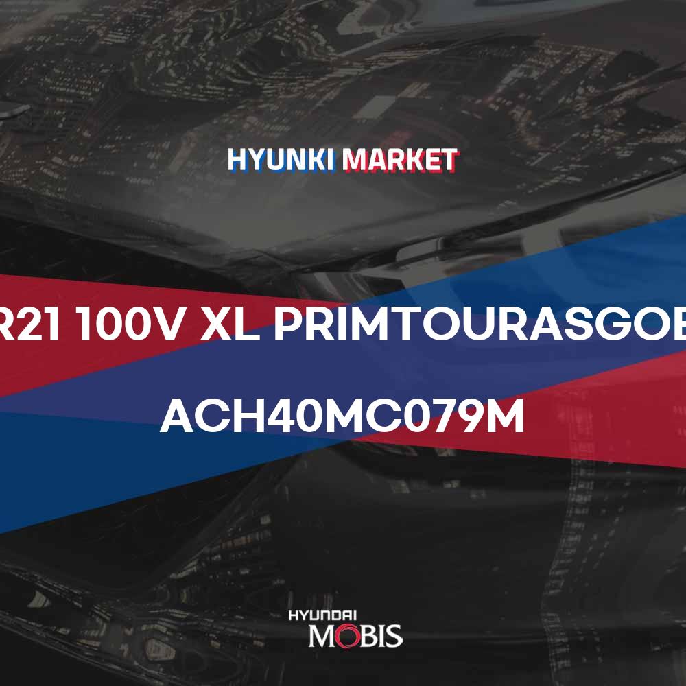 245/40R21 100V XL PRIMTOURASGOECPJ MI (ACH40MC079M)